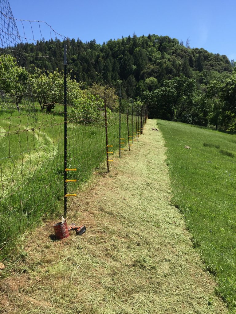 The downhill side of the Bear & Deer fence around the orchard/apiary/poultry pasture.