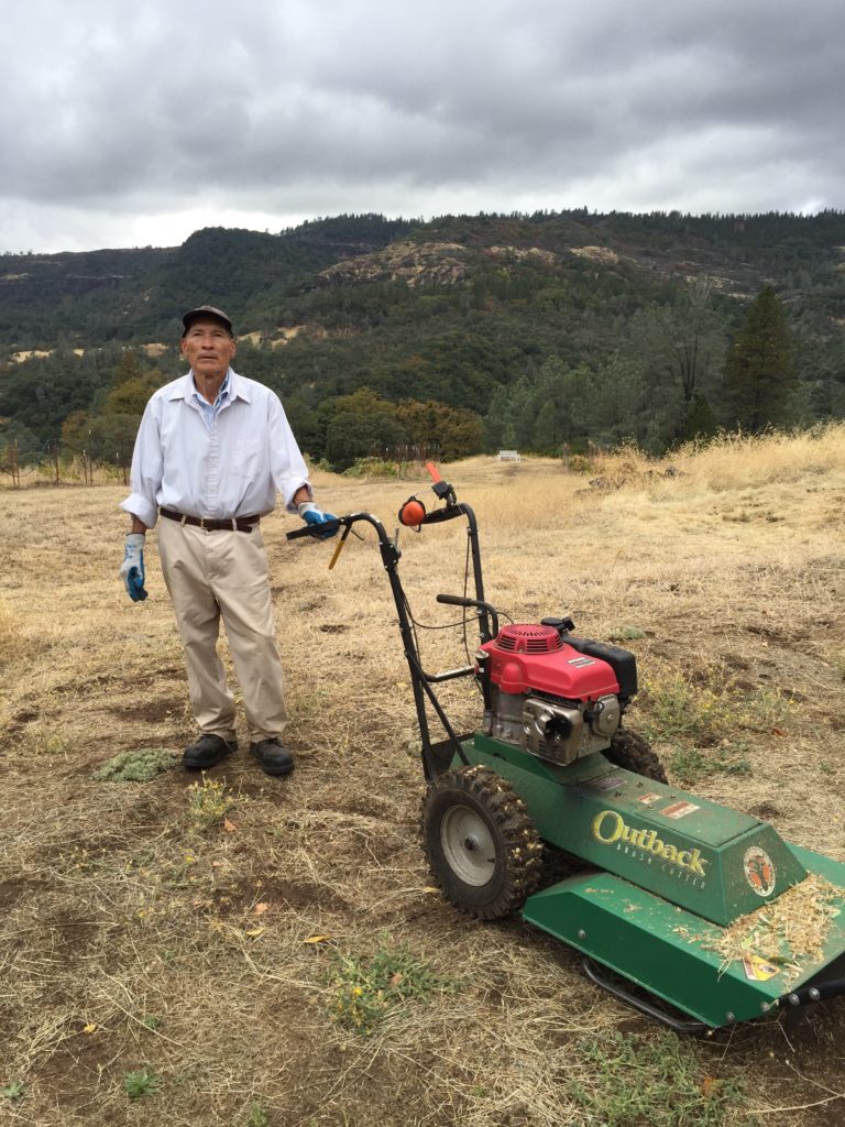 winter mowing